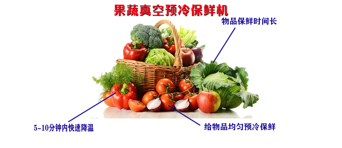 蔬菜真空预冷机