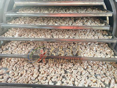 干果冻干机出货浙江某食品公司老总