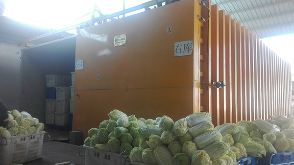 蔬菜真空预冷保鲜机哪家好,哪家的蔬菜预冷机好用 蔬菜真空预冷保鲜机哪家好,哪家的蔬菜预冷机好用