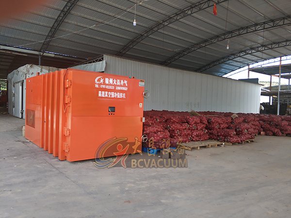 果蔬真空预冷保鲜设备蔬菜水果批发市场安装