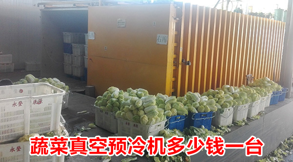蔬菜真空预冷机多少钱一台，真空预冷机的价格