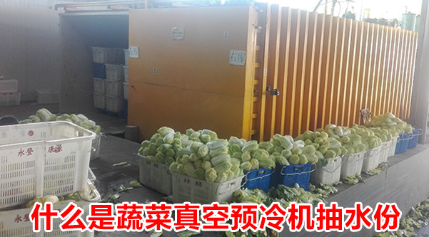 「已解决」什么是蔬菜真空预冷机抽水份