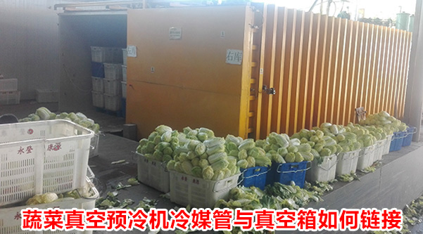 「已解决」蔬菜真空预冷机冷媒管与真空箱如何链接 「已解决」蔬菜真空预冷机冷媒管与真空箱如何链接