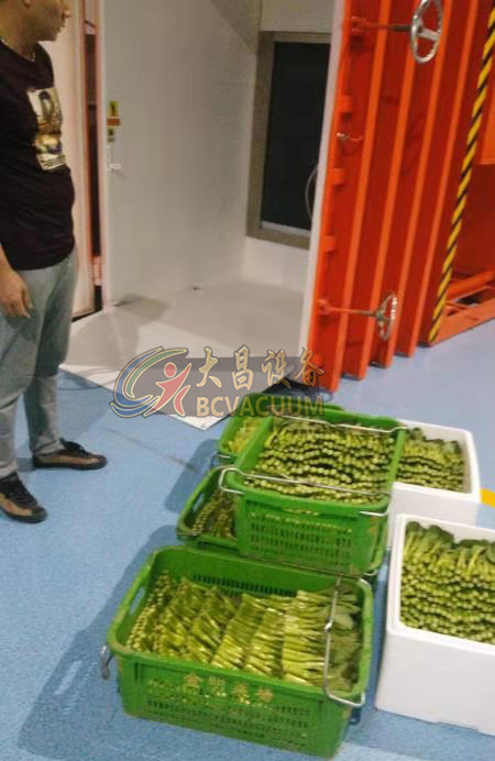 真空預冷機廣州某大型蔬菜保鮮基地安裝