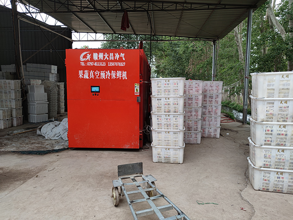 果蔬真空預冷機