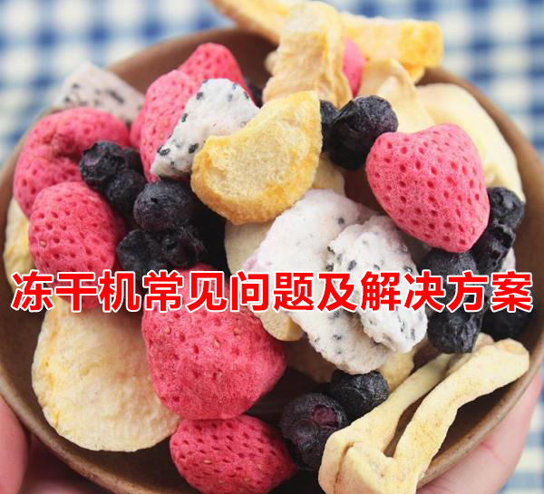冻干机常见问题及解决方案