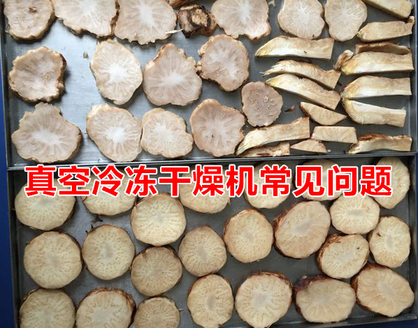 真空冷冻干燥机常见问题及解决方案