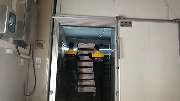 解冻机启动不了的原因分析